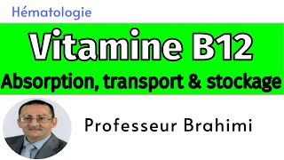 Vitamine B12 Absorption transport et stockage [upl. by Docilla]