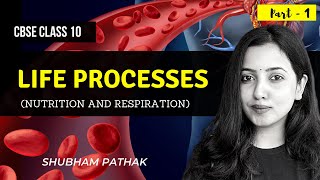 Life Processes  Part 1  Class 10 Biology  Nutrition  Respiration  Shubham Pathak [upl. by Bak]