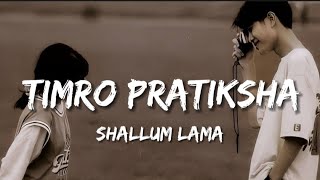 Shallum Lama  Timro Pratiksha Lyrics [upl. by Aneehsal]