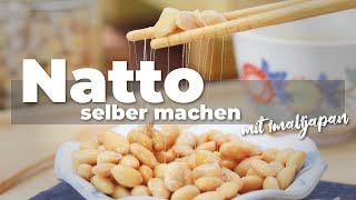 Natto selber machen  DIY Sojabohnen fermentieren mit Joghurt Maker  Rezept amp Anleitung 🫘 [upl. by Garnett]