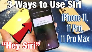 How to Use Siri on iPhone 11 11 Pro and 11 Pro Max 3 Ways [upl. by Aonehc]