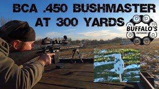 BCA 450 Bushmaster  300 yards [upl. by French]