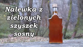 Łycha leśnika czyli jak zrobić nalewkę z zielonych szyszek sosny [upl. by Hamrah856]