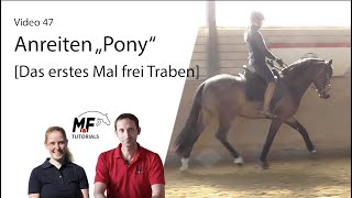 47 Anreiten Teil3  erstes mal alleine aufsteigen und frei Traben  3j Pony Hengst [upl. by Matthus]