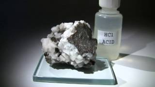 Calcite and Dolomite Reacting with Hydrochloric Acid [upl. by Mallorie671]