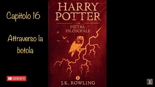 Harry Potter e la Pietra Filosofale audiolibro narrato da Francesco Pannofino  capitolo 16 [upl. by Ueihttam]