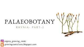 RHYNIA REPRODUCTION  GAMETOPHYTE OF RHYNIA  Malayalam Explanation  Palaeobotany [upl. by Cheung]