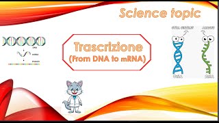 2 Trascrizione Dal DNA allRNA [upl. by Anoiek]