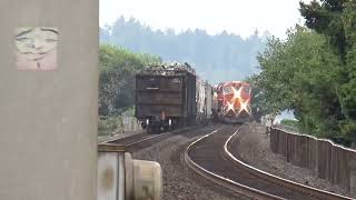 Train Meet at the Steilacoom Ferry Terminal Railroad Crossing [upl. by Llerod]