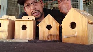 Nest Boxes For Gouldian Finches [upl. by Persons]