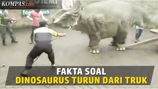 Video Viral Seekor Dinosaurus Turun dari Truk di Magetan Ini Faktanya [upl. by Nelak238]