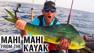 Kayak Fishing MAHI MAHI amp SAILFISH Action in Florida  Field Trips with Robert Field [upl. by Aiahc430]