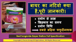 बायर का नटिवो क्या हैपूरी जानकारी। Bayer Nativo। Bayer Product । Systemic Fungicide [upl. by Jeramey298]