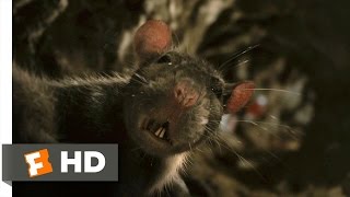 Charlottes Web 410 Movie CLIP  The Yolks On Me 2006 HD [upl. by Atenahs176]