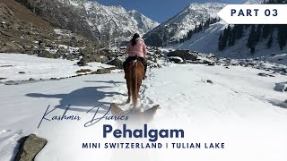 Exploring Winter Wonderland Pahalgam Kashmir  Mini Switzerland  Tulian Lake trek [upl. by Sivat]