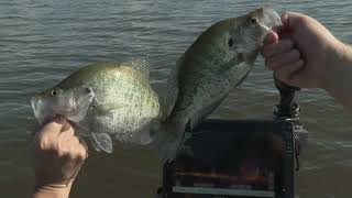 Crappie Fishing on the Ross Barnett Reservoir [upl. by Sirej]