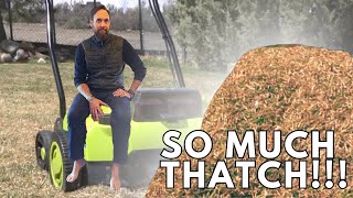 How to DETHATCH A LAWN AND WHEN TO DO it [upl. by Adnahsor]