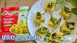 MTR Khaman Dhokla Recipe  MTR Dhokla Recipe  Instant MTR Khaman Dhokla in Pressure Cooker [upl. by Edalb637]