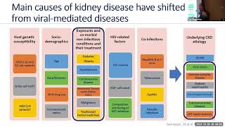 Filtering the Facts Updates in CKD Management for PWH [upl. by Wampler]