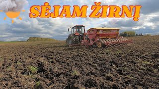 Skutam Sėjam žirnį su Vaderstad rapid 300 15 [upl. by Nugesulo]