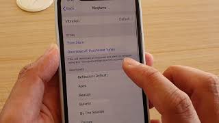 iPhone 11 Pro How to Change Ringtone Sound [upl. by Dulsea]