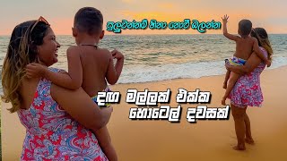 VLOG 248  ළමයෙක් අරන් හදාගත්තා [upl. by Clementis]