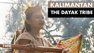 Kalimantan  The Dayak Tribe [upl. by Rutra]