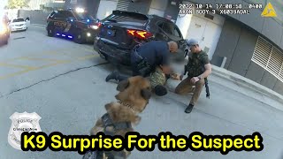 K9 Takes Down Murderer to End High Speed Police Chase [upl. by Eedolem]