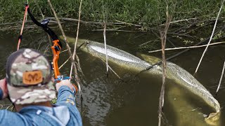 Bowfishing for Giant Gator Gar We shoot a 7 foot RIVER MONSTER [upl. by Solim]