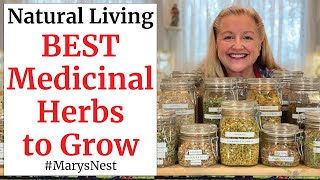 10 Essential Medicinal Herbs to Grow for Making Home Remedies [upl. by Gibson558]