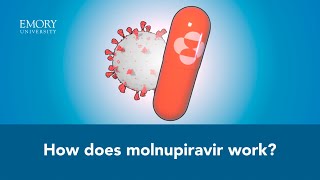 How Molnupiravir Works An Animated Explanation [upl. by Rogers]