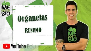 Organelas  Resumo Professor Gustavo [upl. by Helms861]