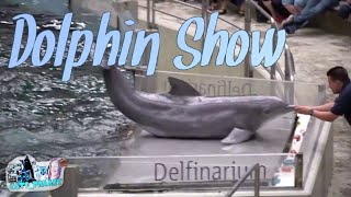 Delfin Show  Dolphin Show  Delfinarium Zoo Duisburg 2018 [upl. by Susana]