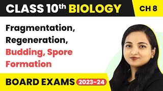 Fragmentation Regeneration Budding Spore Formation  Class 10 Biology Chapter 8 [upl. by Anahcar]