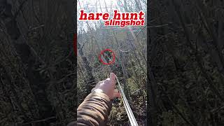 Slingshot Hare hunting Hunting in the forests of Scotland Hunting Scotland Slingshot [upl. by Nagear790]