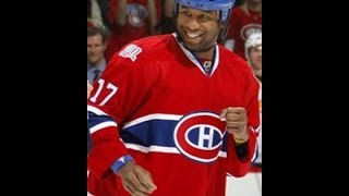 Georges Laraque NHL Fights [upl. by Ttam]