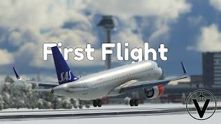 My first SOLO VATSIM flight stressful [upl. by Mcdowell]