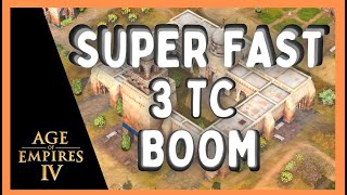 SUPER FAST 3 TC BOOM   Age of Empires 4 Build Order  Abbasid Dynasty [upl. by Ruffin]