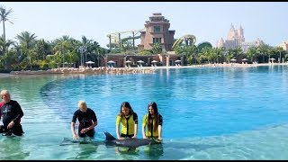 Atlantis The Palm глазами блогеров  Эпизод 1  Алена Венум [upl. by Urbanna]