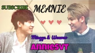 Meanie Seventeen Cute Moments [upl. by Aleel]