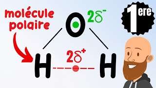 Polarité dune molécule  polaire ou apolaire Cours de première  physique chimie [upl. by Lillian489]