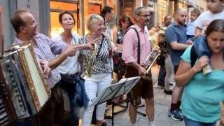 Kleiner HarmonikaspielerRucksackmusikantenBad Kissingen [upl. by Anner]