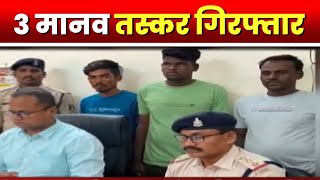 Dhamtari News  3 मानव तस्कर Arrest  आरोपियों से एक युवती को छुड़वाया गया [upl. by Aij273]