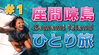 【座間味島Zamami island】世界が恋する海、座間味島で泳ぎまくる [upl. by Gabriell]