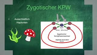 Kernphasen amp Generationswechsel  TheEasyBiology [upl. by Bonilla520]