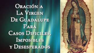 Oración a la Virgen de Guadalupe para Casos Difíciles Imposibles y Desesperados [upl. by Roel]