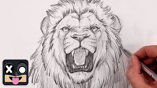 How To Draw A Realistic Lion [upl. by Aneekal]