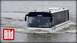 HafenCity Riverbus  Stadtkreuzfahrt im AmphibienBus [upl. by Gney]