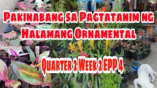 Quarter 2 Week 2 EPP 4 Pakinabang sa Pagtatanim ng Halamang Ornamental [upl. by Nerro]