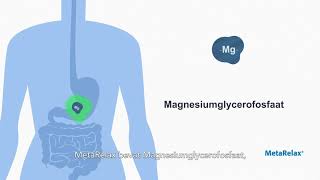 Wat is MetaRelax® [upl. by Cresa]